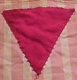 pink_triangle.jpg
